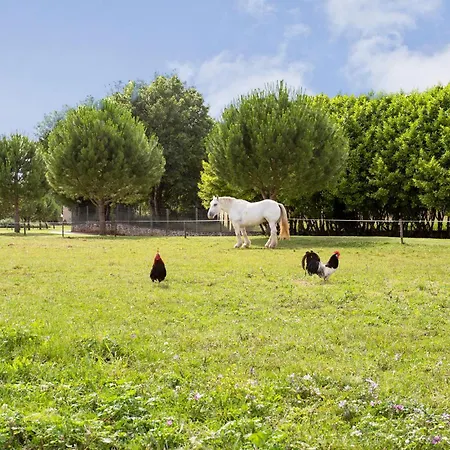 Lovely Home In Lonnes With Heated Swimming Pool Holiday home Lonnes