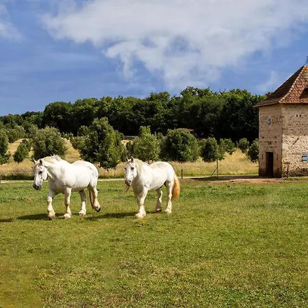 Lovely Home In Lonnes With Heated Swimming Pool Holiday home Lonnes